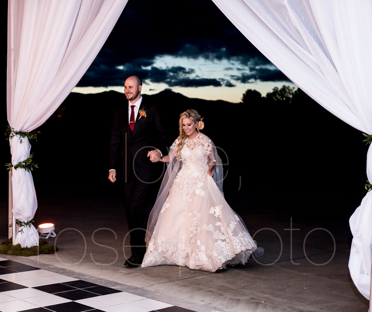 asheville wedding photographer best of the knot bride style rose photos social media share-56.jpg