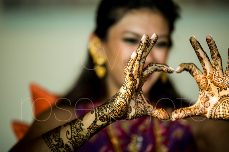 chicago indian wedding photographer bride style rose photo social media share-7.jpg