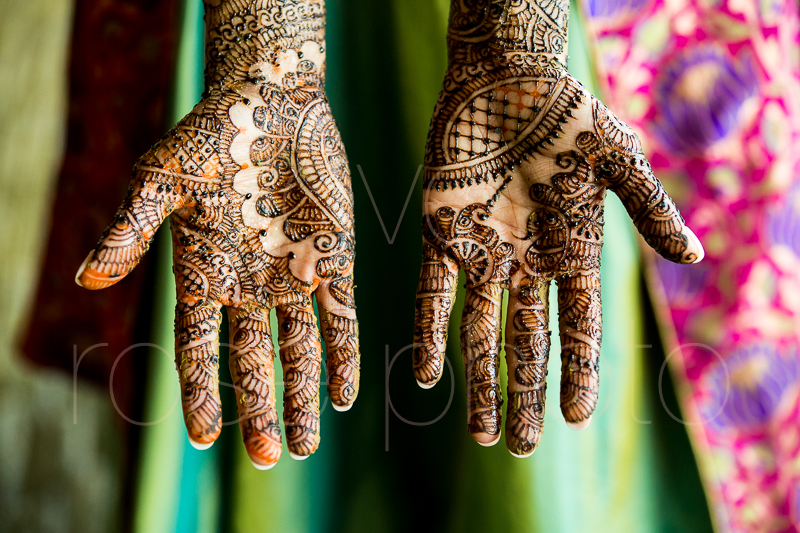 chicago indian wedding photographer bride style rose photo social media share-10.jpg