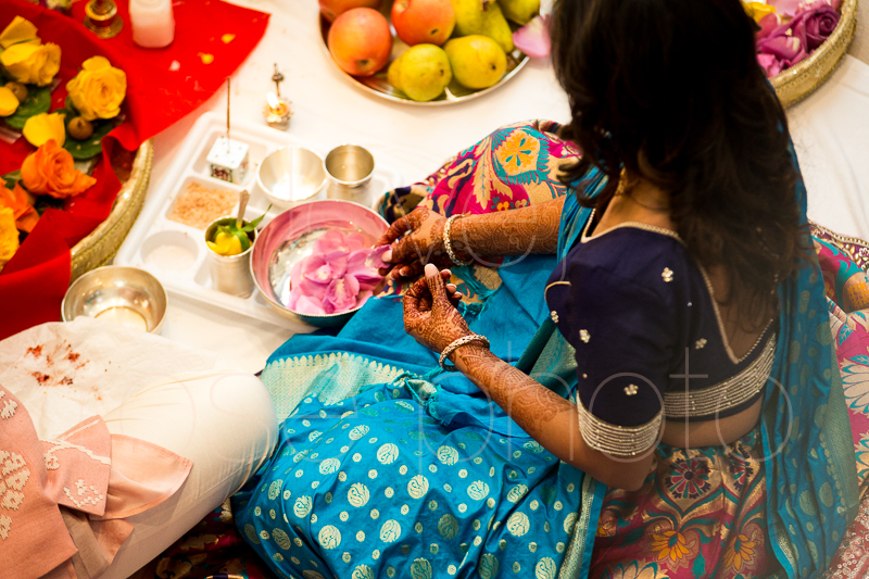 chicago indian wedding photographer bride style rose photo social media share-14.jpg