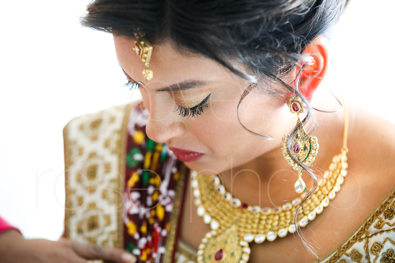 chicago indian wedding photographer bride style rose photo social media share-49.jpg