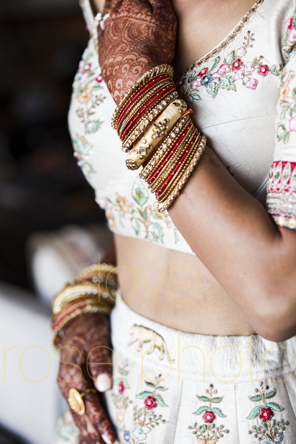 destination wedding photographer best of indian wed chicago asheville photographer-4069.jpg