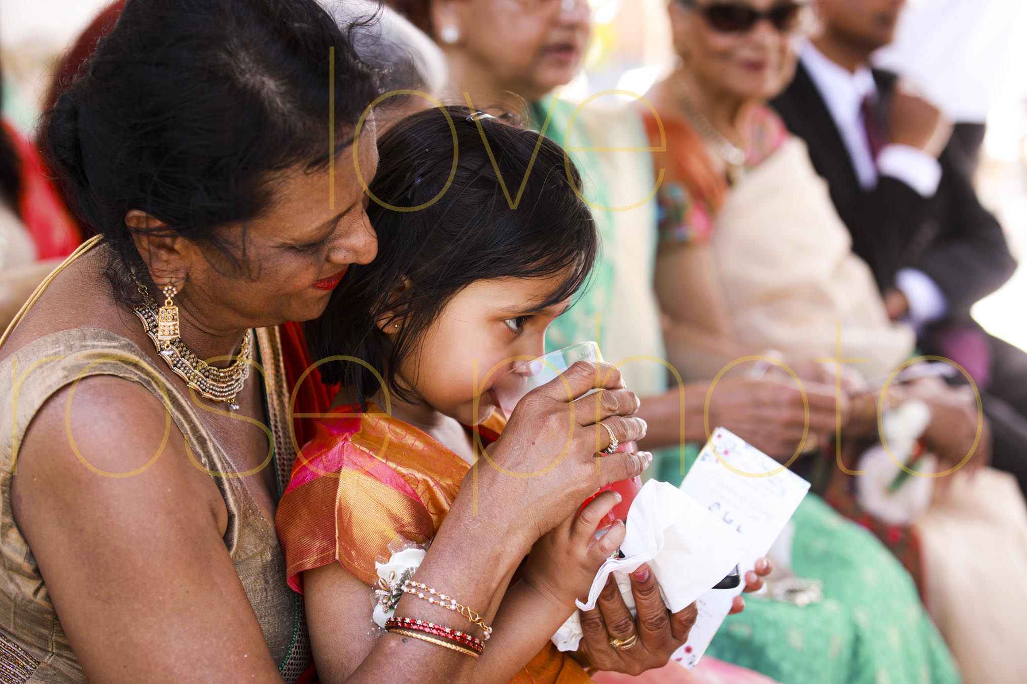 destination wedding photographer best of indian wed chicago asheville photographer-4979.jpg