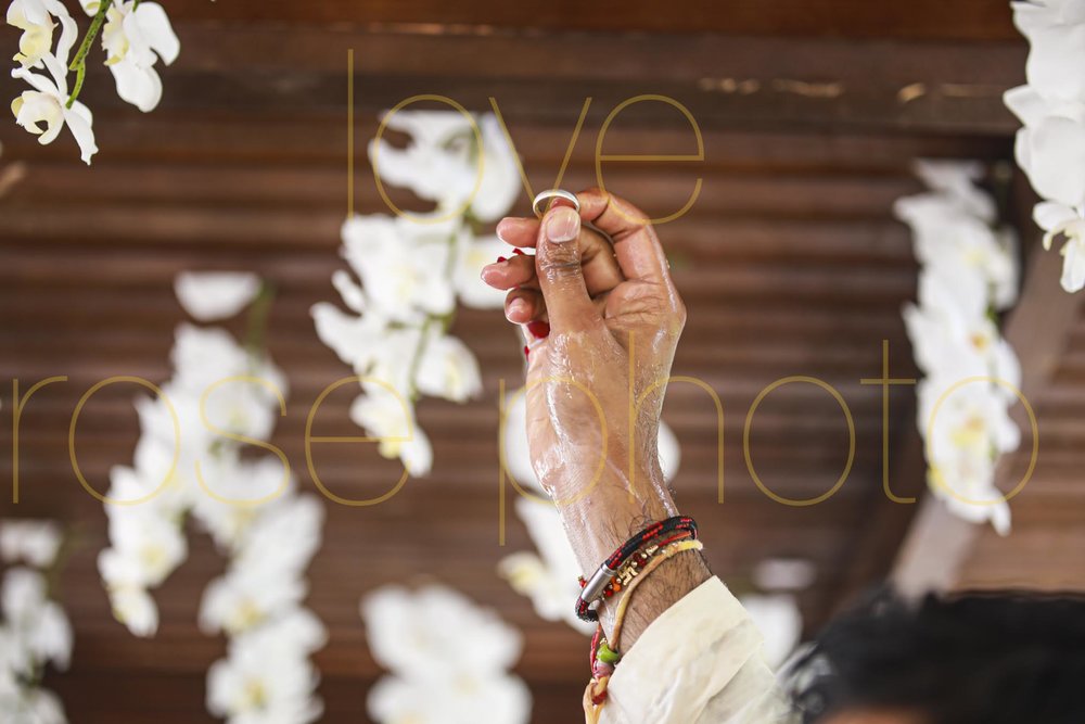 destination wedding photographer best of indian wed chicago asheville photographer-5312.jpg