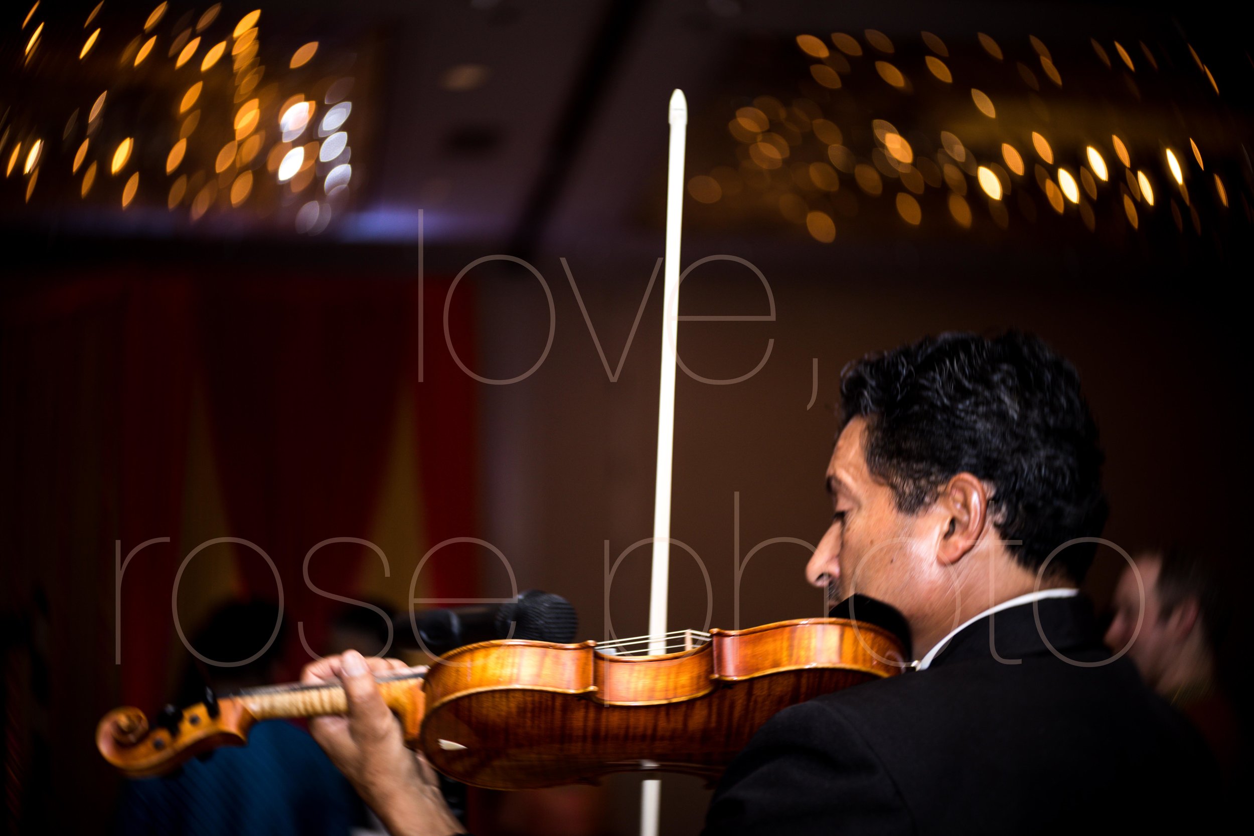 best chicago indian wedding photographer rose photo video collective-19.jpg