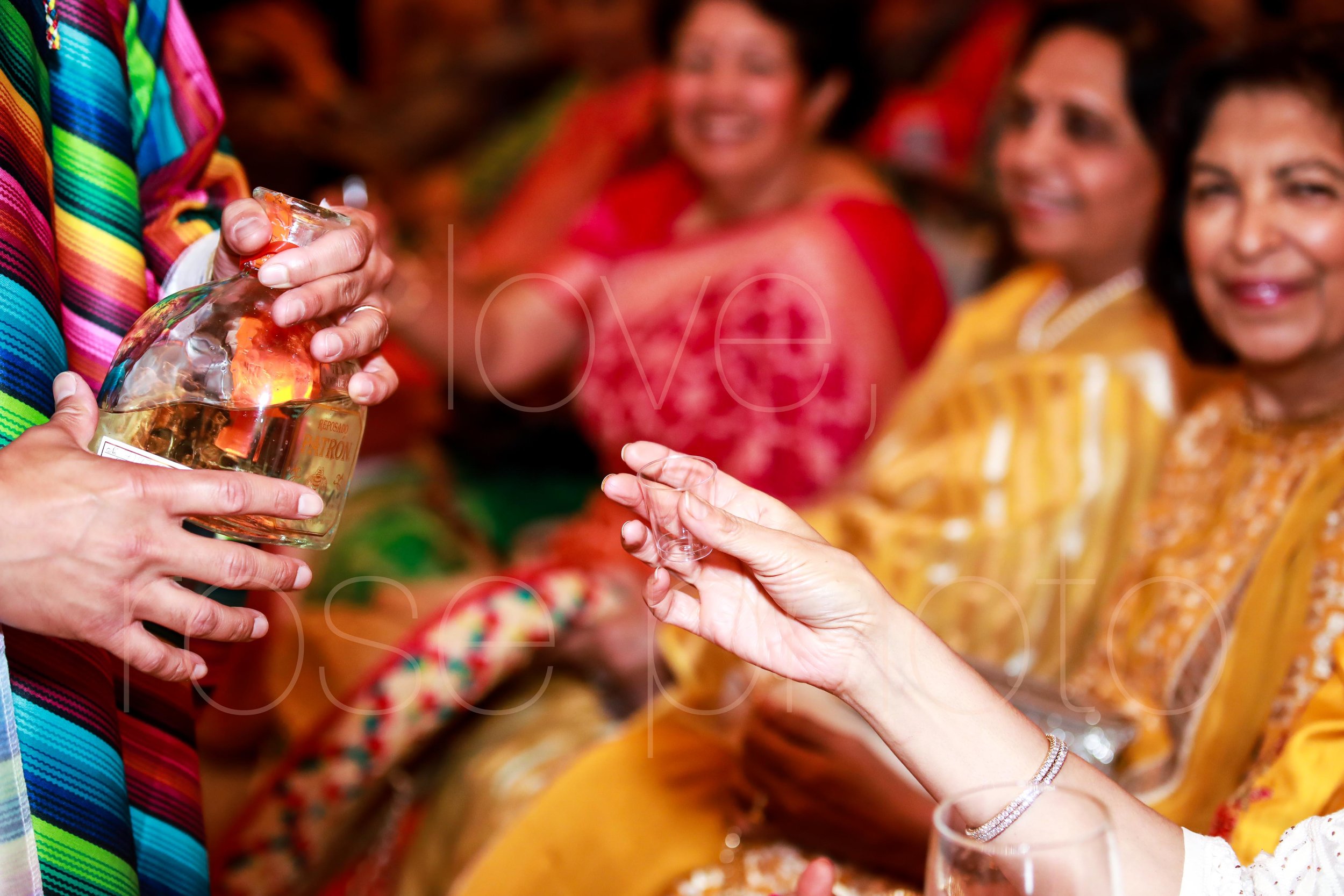 best chicago indian wedding photographer rose photo video collective-28.jpg