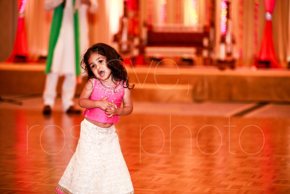 best chicago indian wedding photographer rose photo video collective-29.jpg