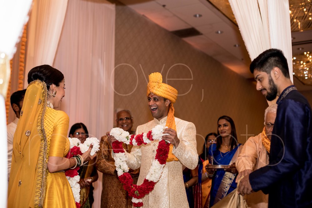 best chicago indian wedding photographer rose photo video collective-78.jpg