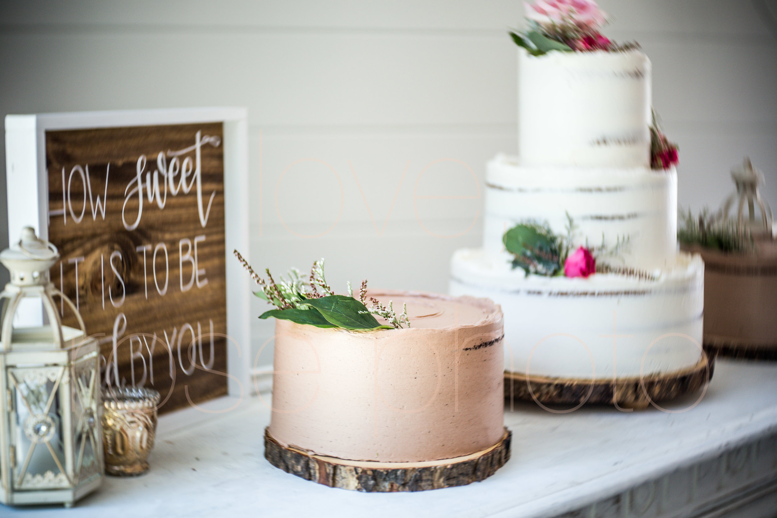 E + J Bloomington at The Wilds wedding photography pink roses blush baby blue bridesmaids dress flower girl destination photo -21.jpg