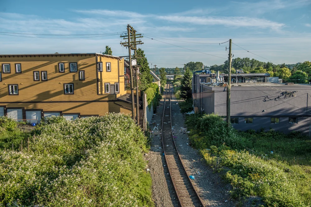 RAW_8125.jpg