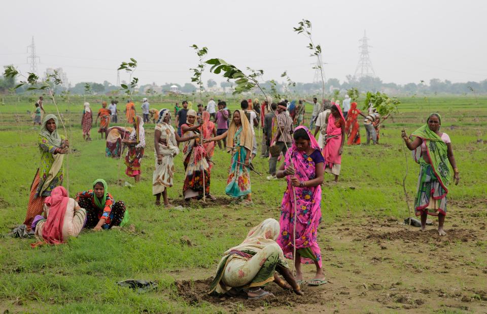 AP Photo/Rajesh Kumar Singh