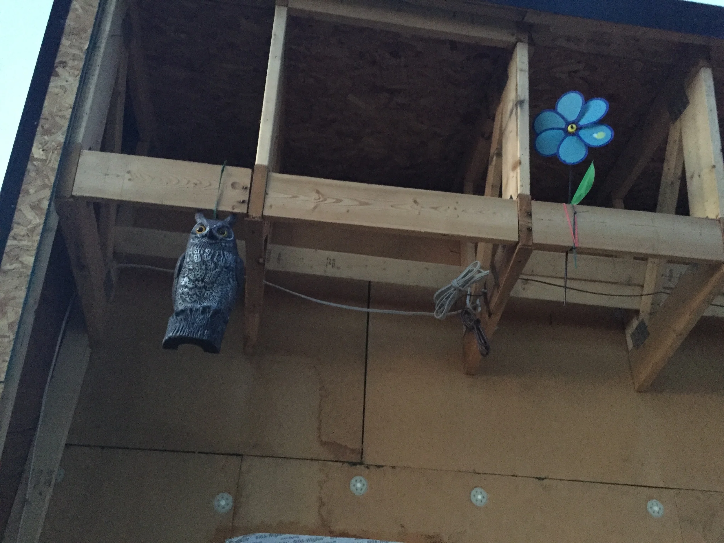 House adornments -- pigeon scaring tactics seen to be working!