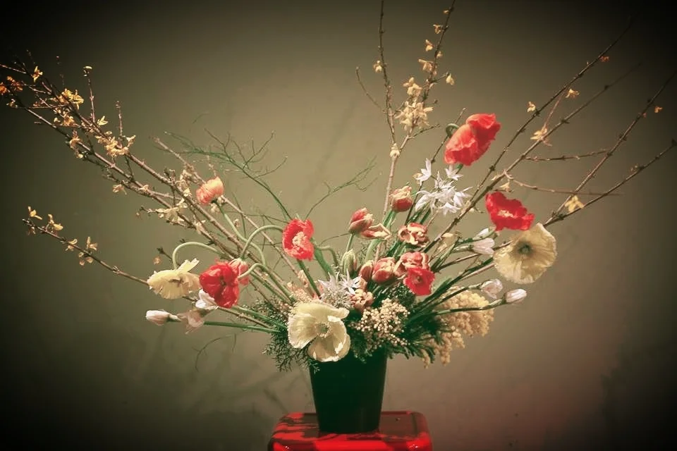 Garden Style Flowers Tulips Poppies Forsythia Branches