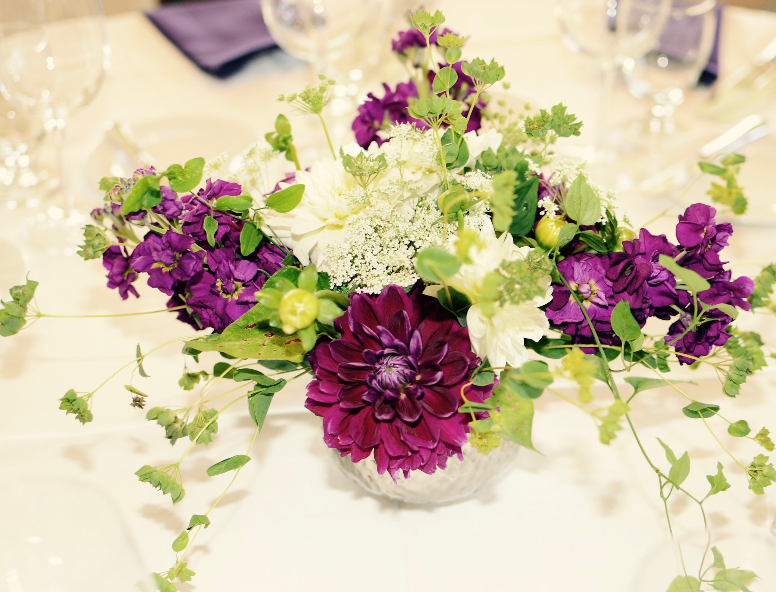 Plum & White Dahlia with Chartreuse foliage accents.