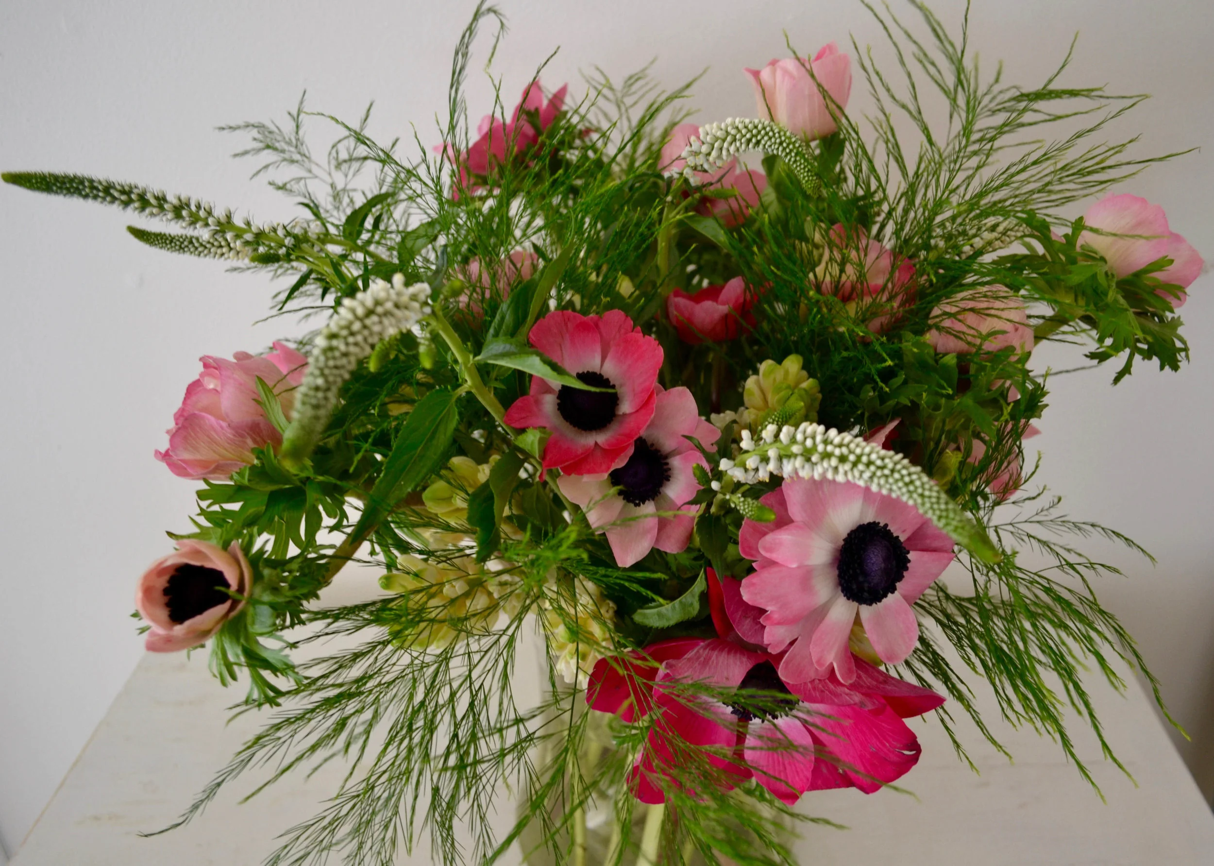 pink anemone-2-2.jpg