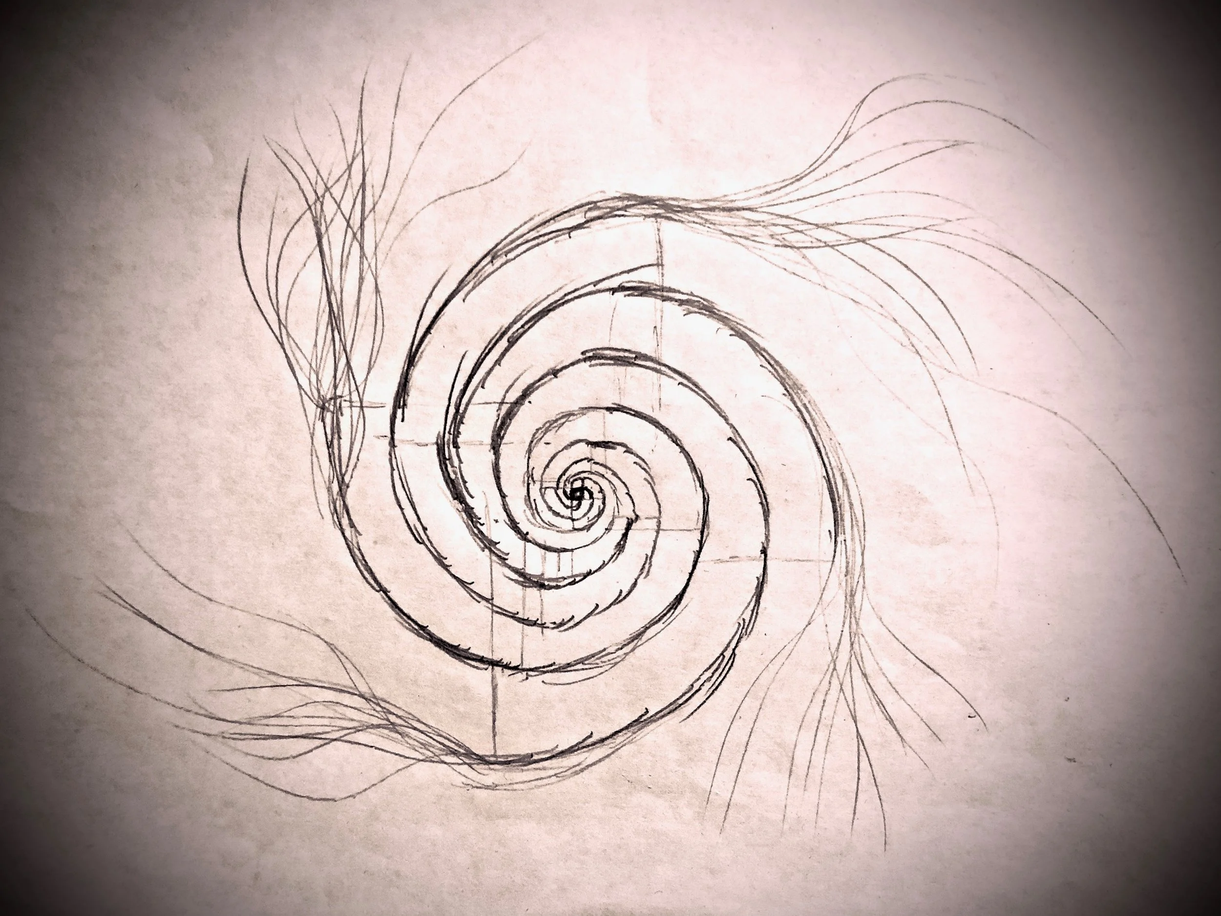 Fibonacci Network, All Matter Accounted