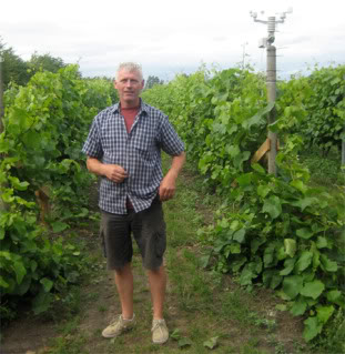 Wine made from light?