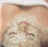 unknown-1.thumbnail.jpeg