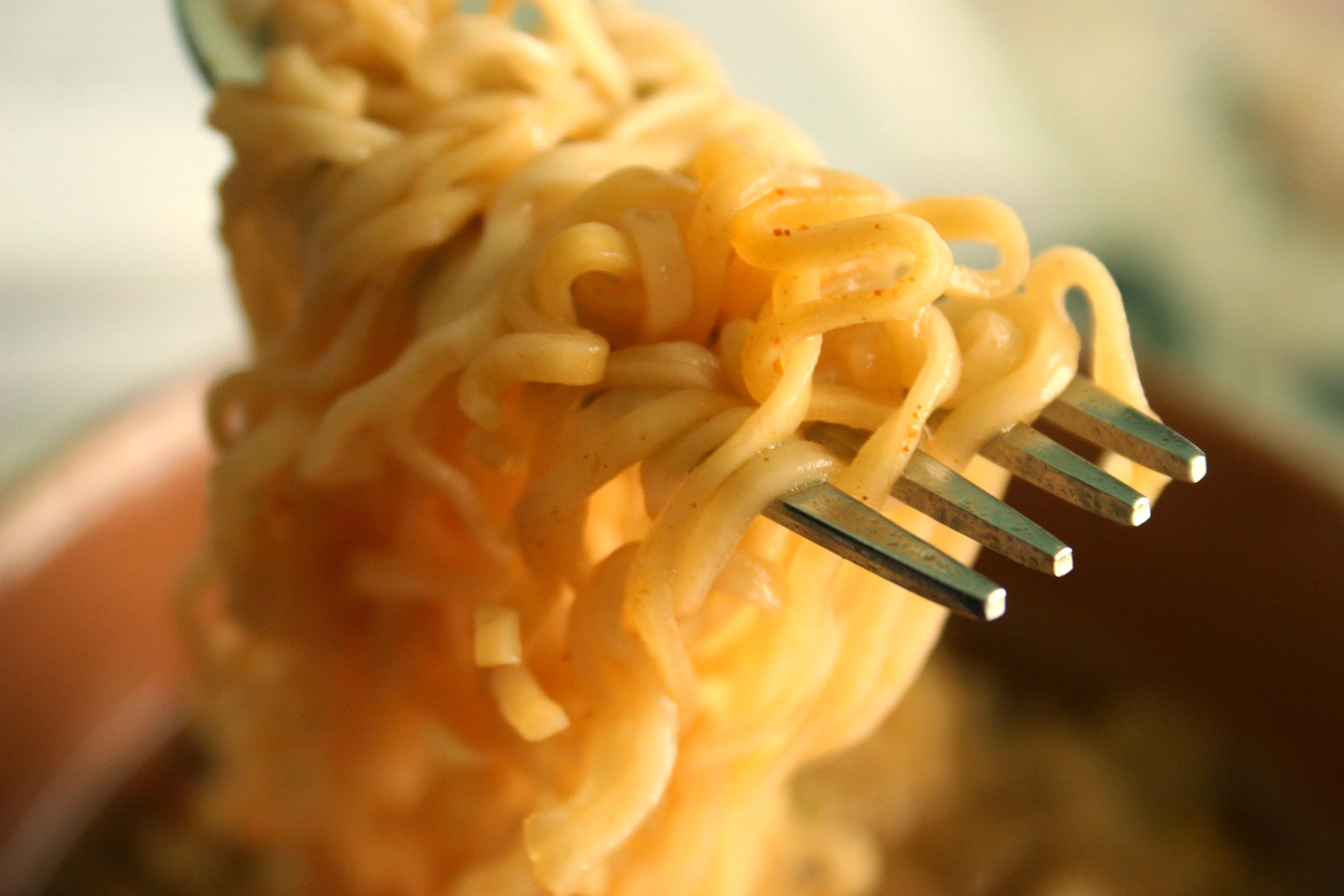 Ruminations on Noodles