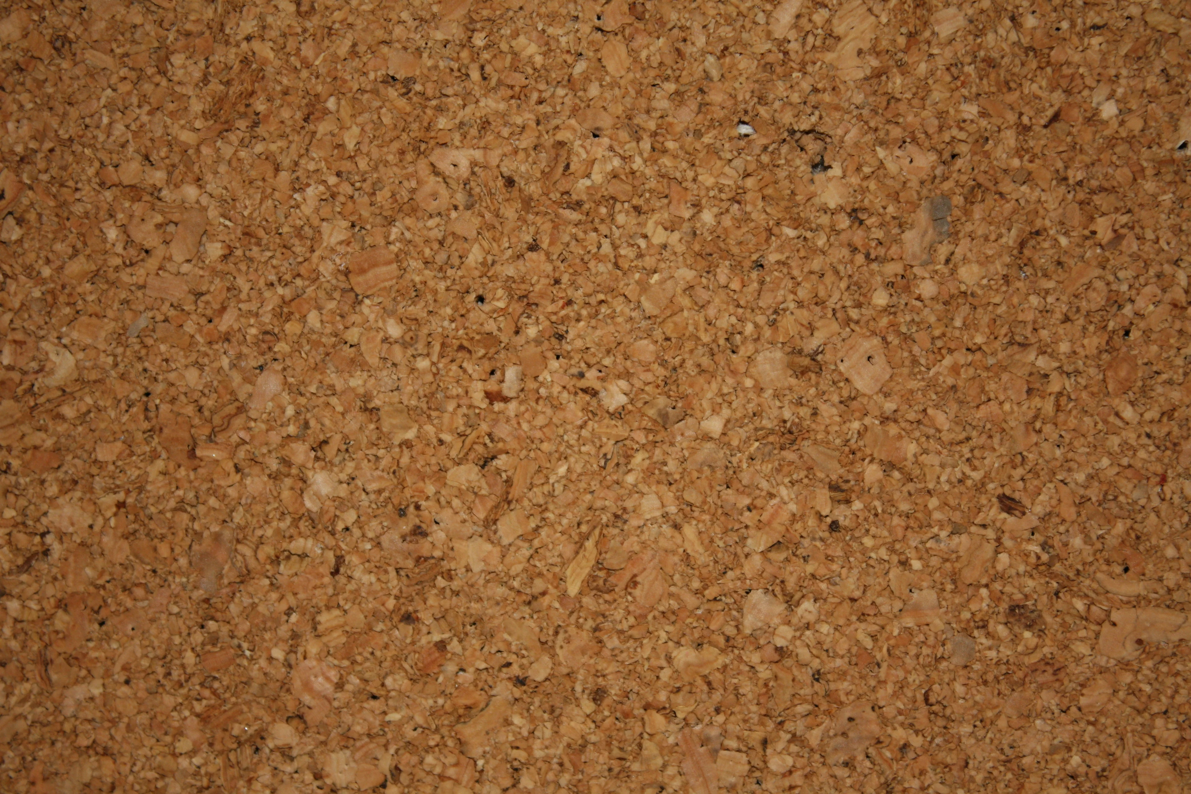 Cork and Sustainability
