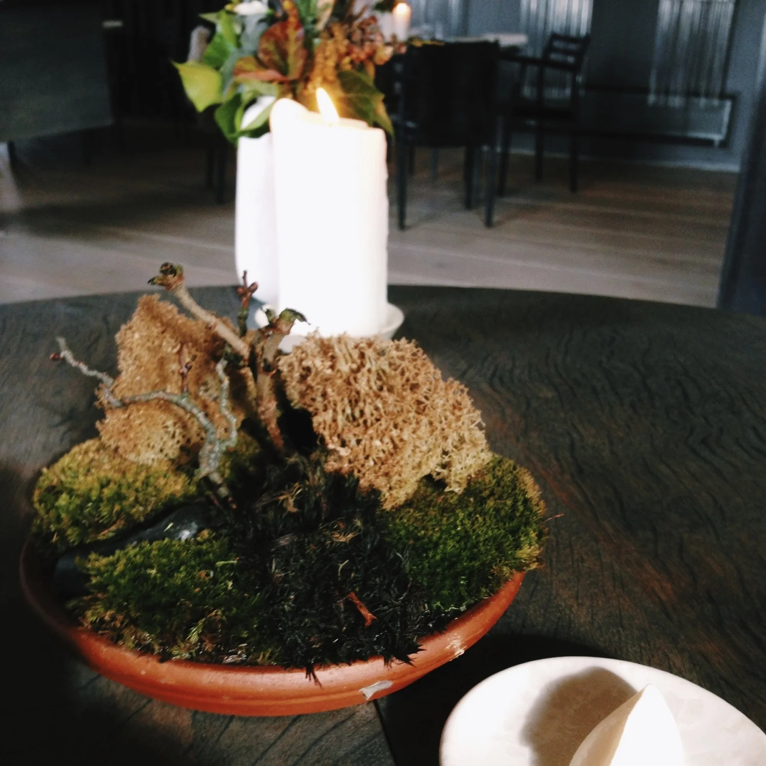 “Reindeer Moss” with mushroom dust and crème fraîche - favorite of the day!