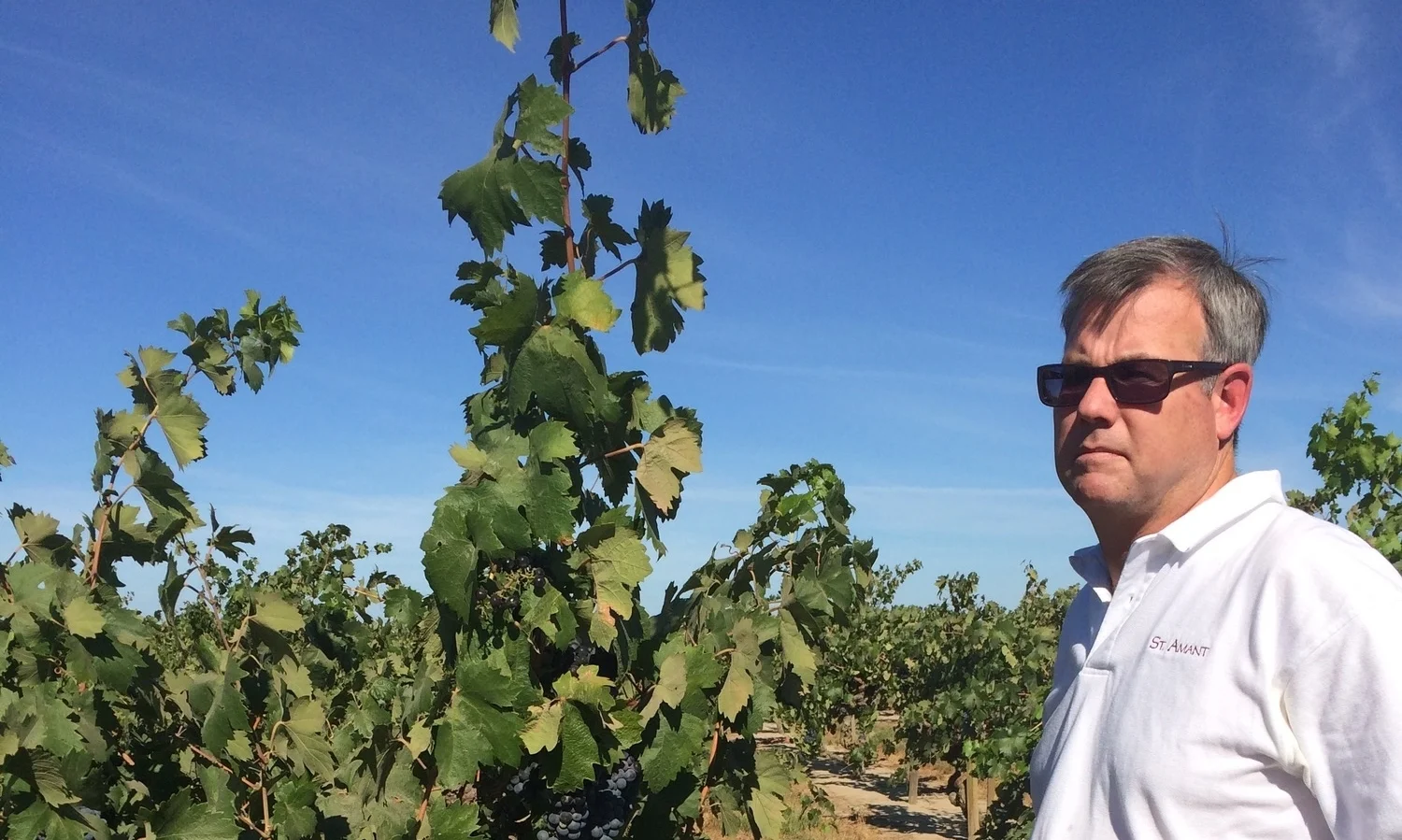 Ten “Medium-Intensity” Questions