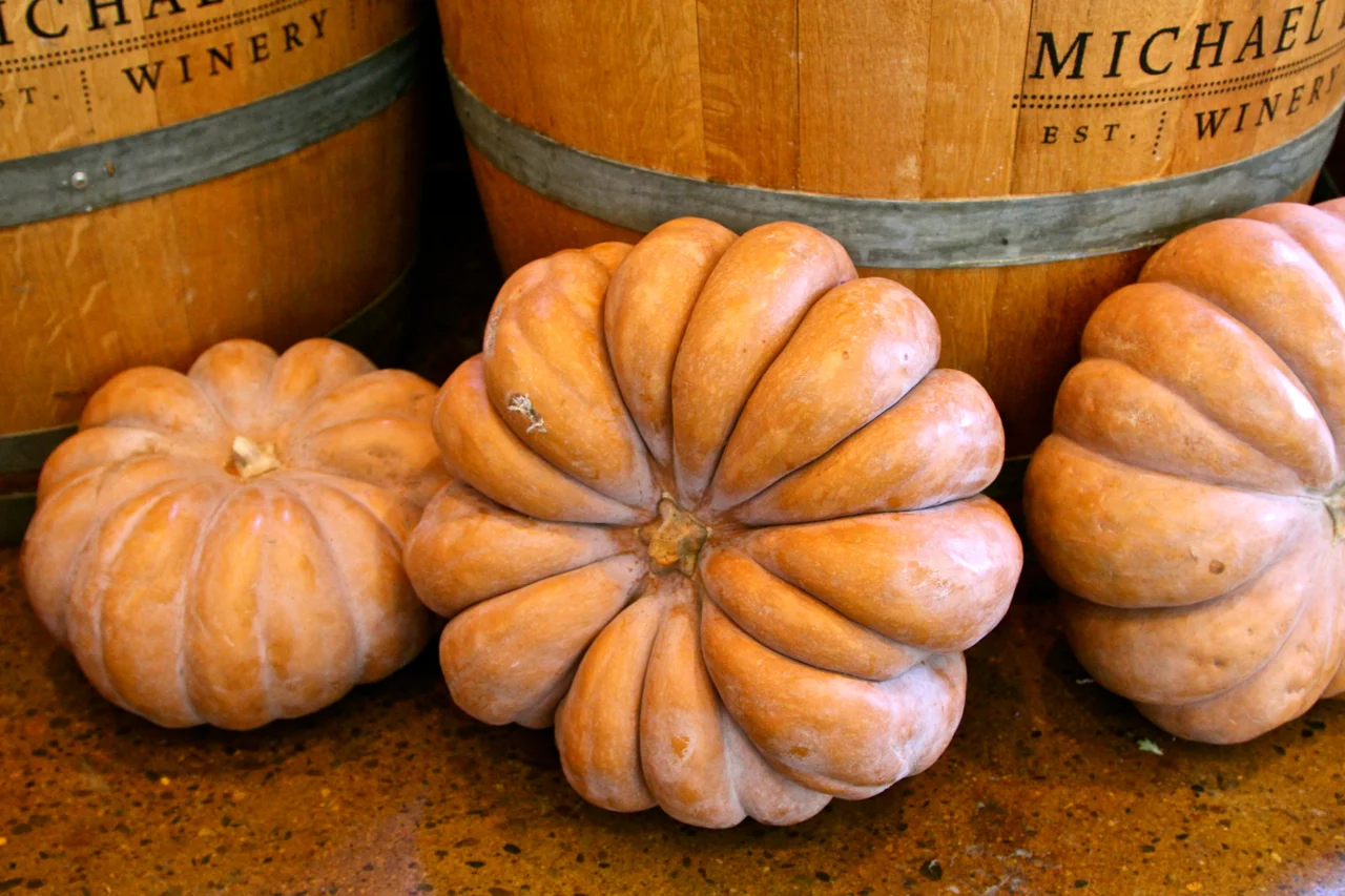 How to Have a Lodi Thanksgiving