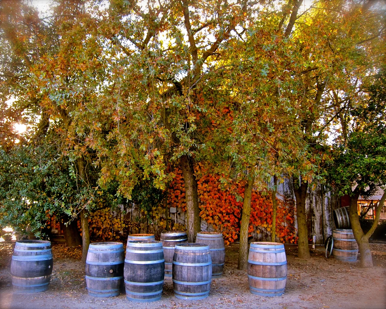 Jessie's Grove Tasting Room