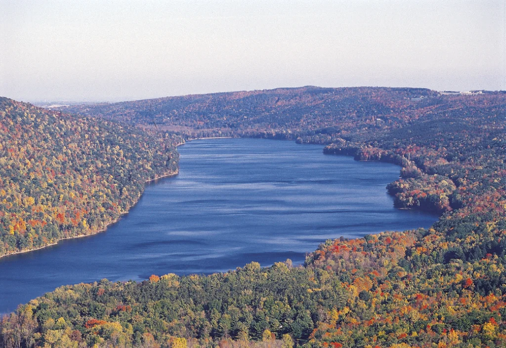 Image courtesy of www.fingerlakeswinealliance.com