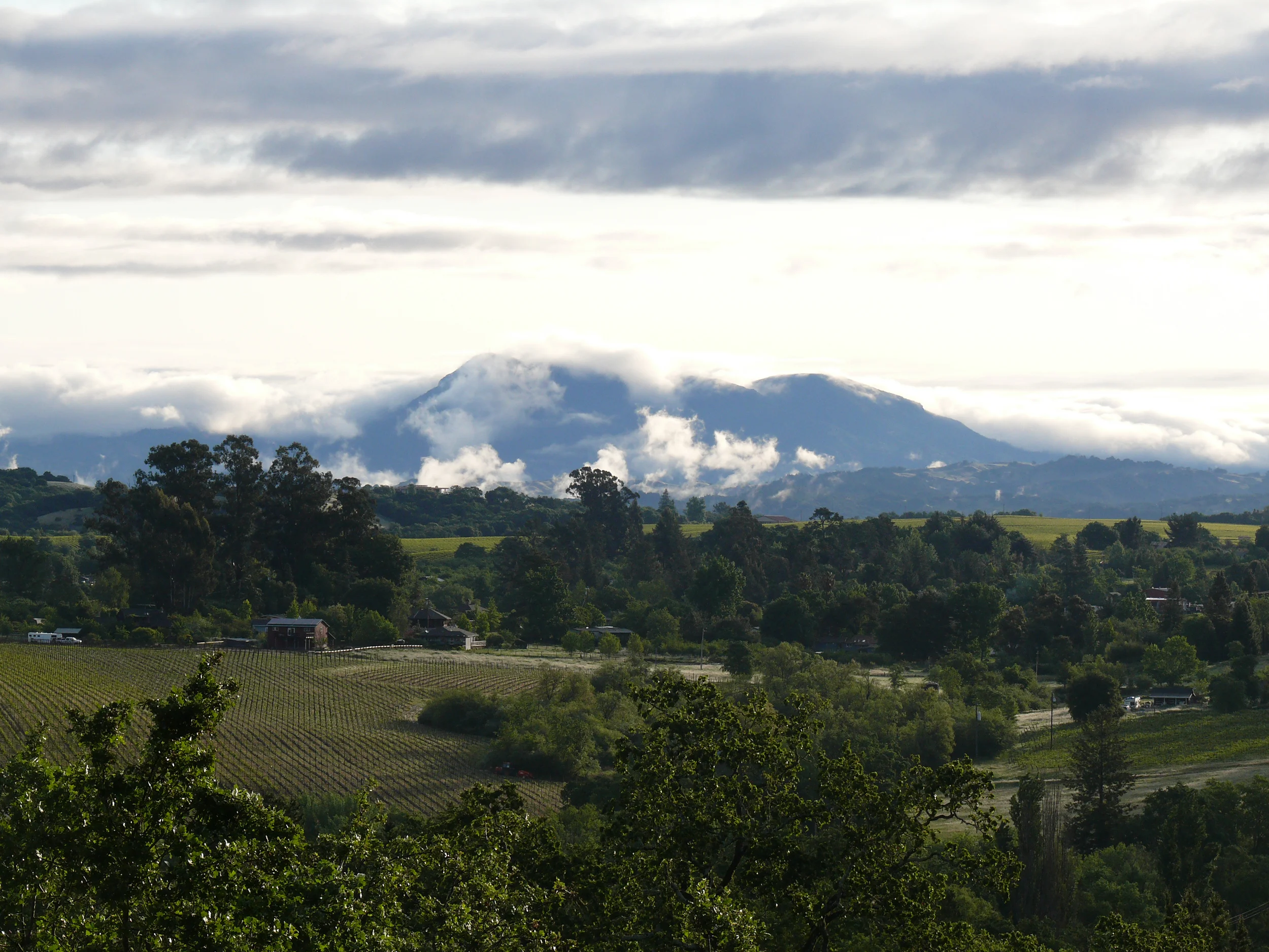 How Green is My Valley?
