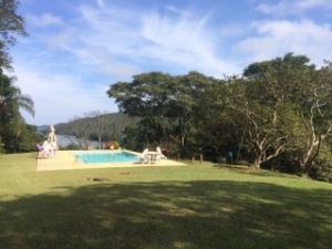 View of the guest pool on a sunny day