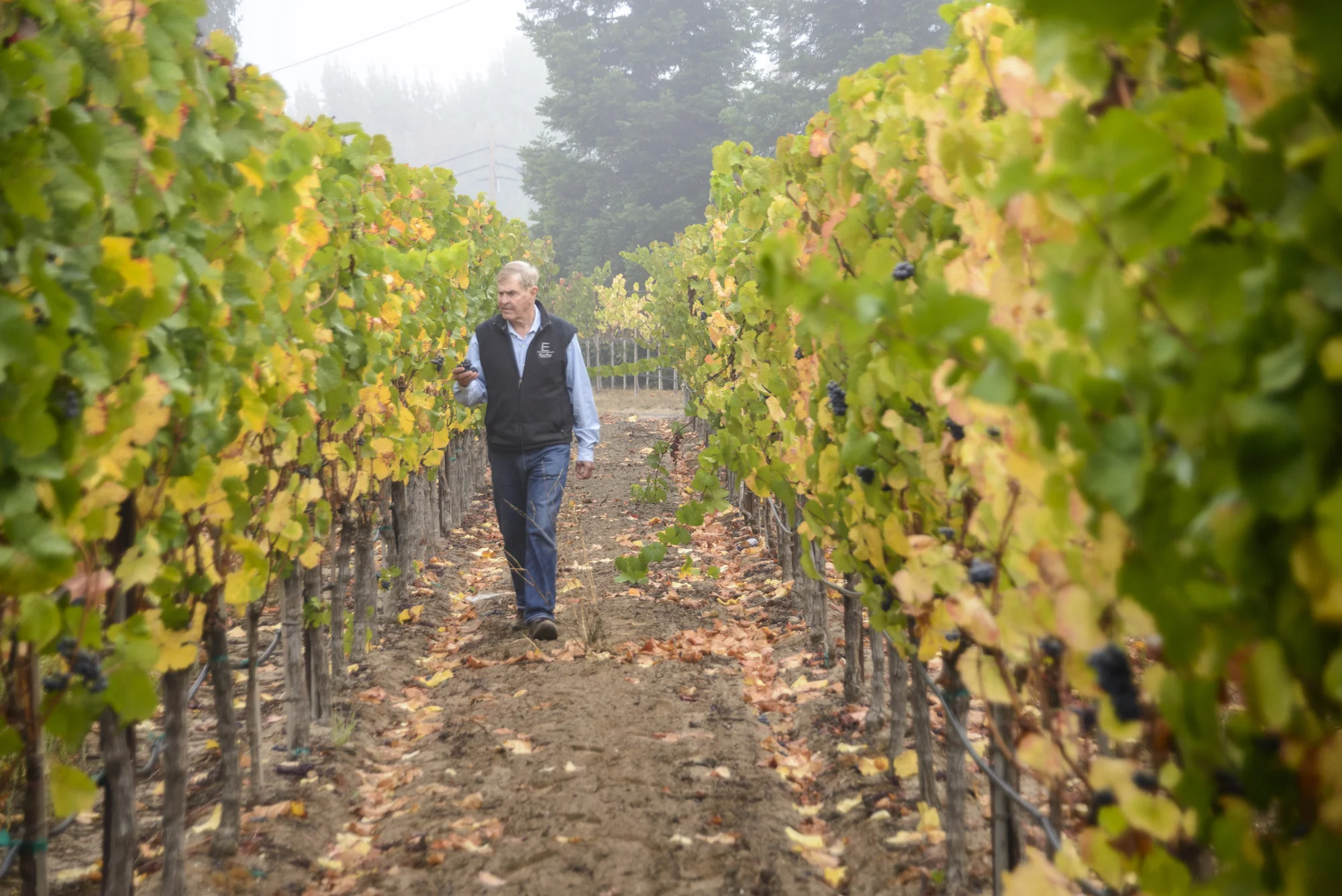 Ten “Medium-Intensity” Questions  With Brice Jones