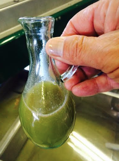 Fresh off the press olive oil
