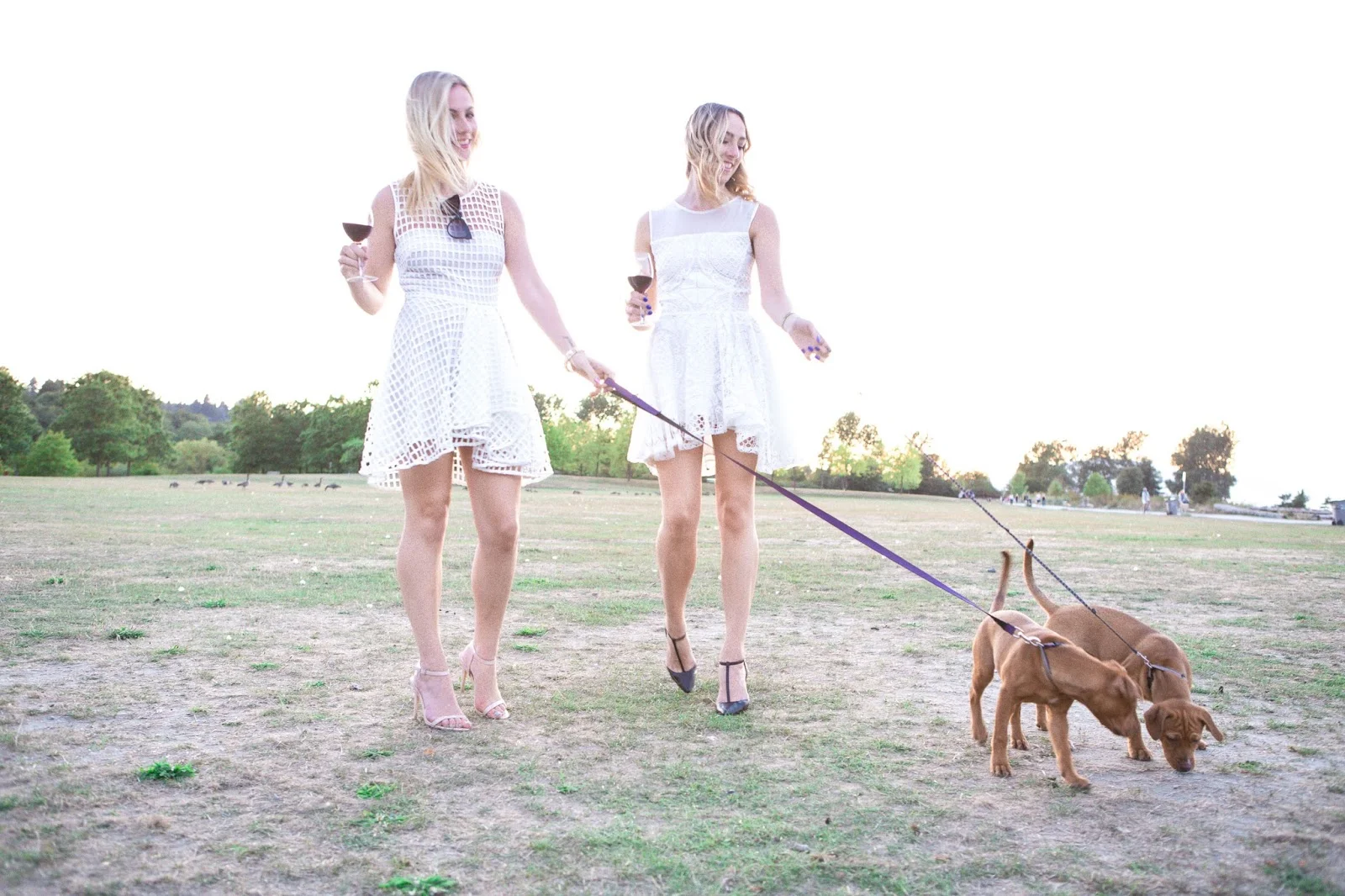 What Does Fashion Apparel & Accessories Have In Common With Wine?