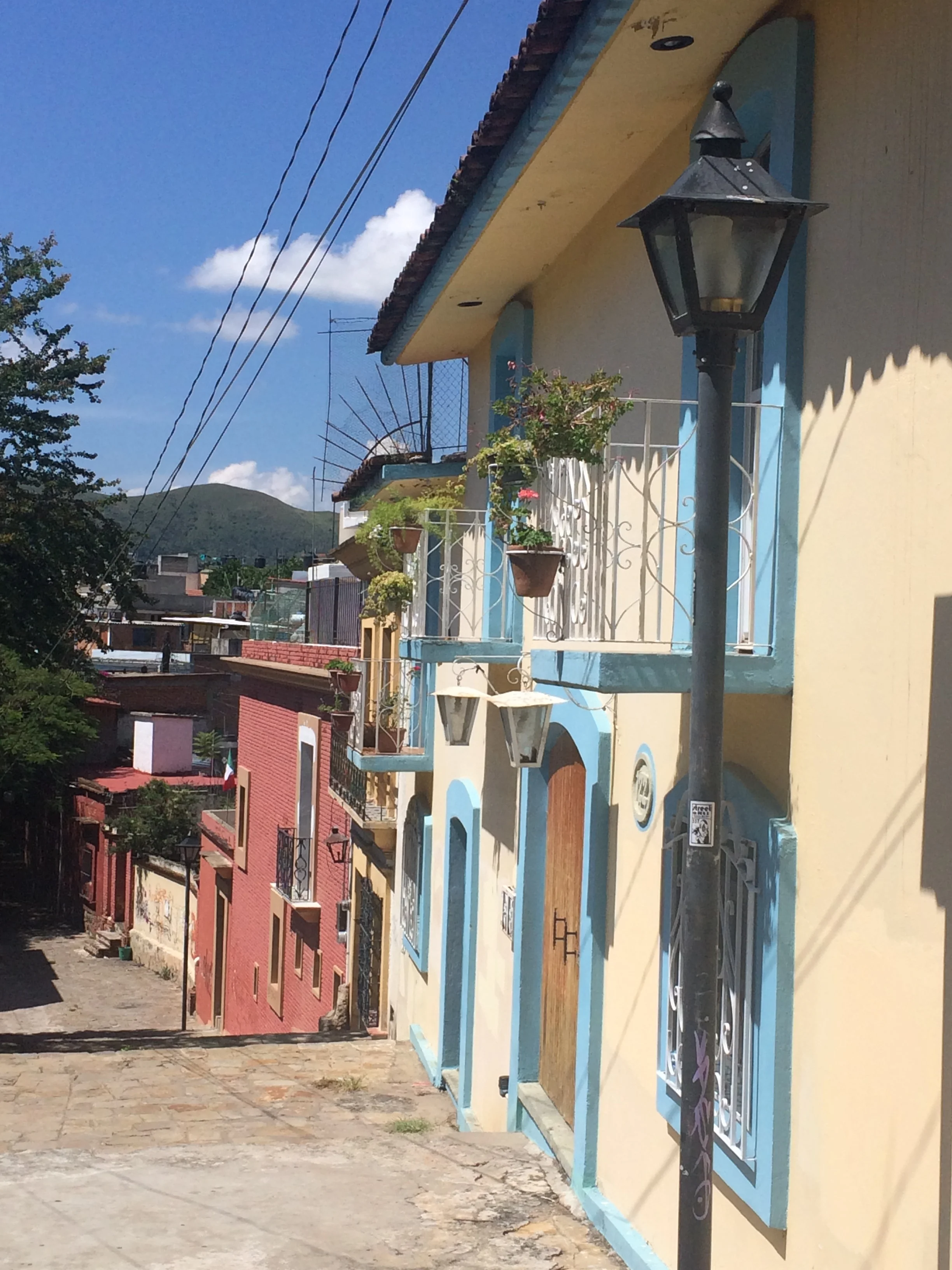 Oaxaca Street