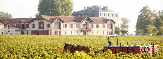 Photo courtesy of Wine Searcher.