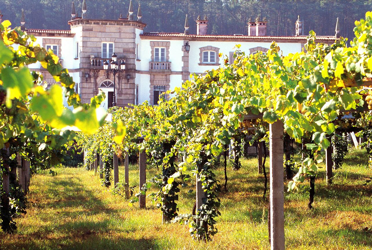 Rias Baixas. Photo courtesy of Wines from Spain.
