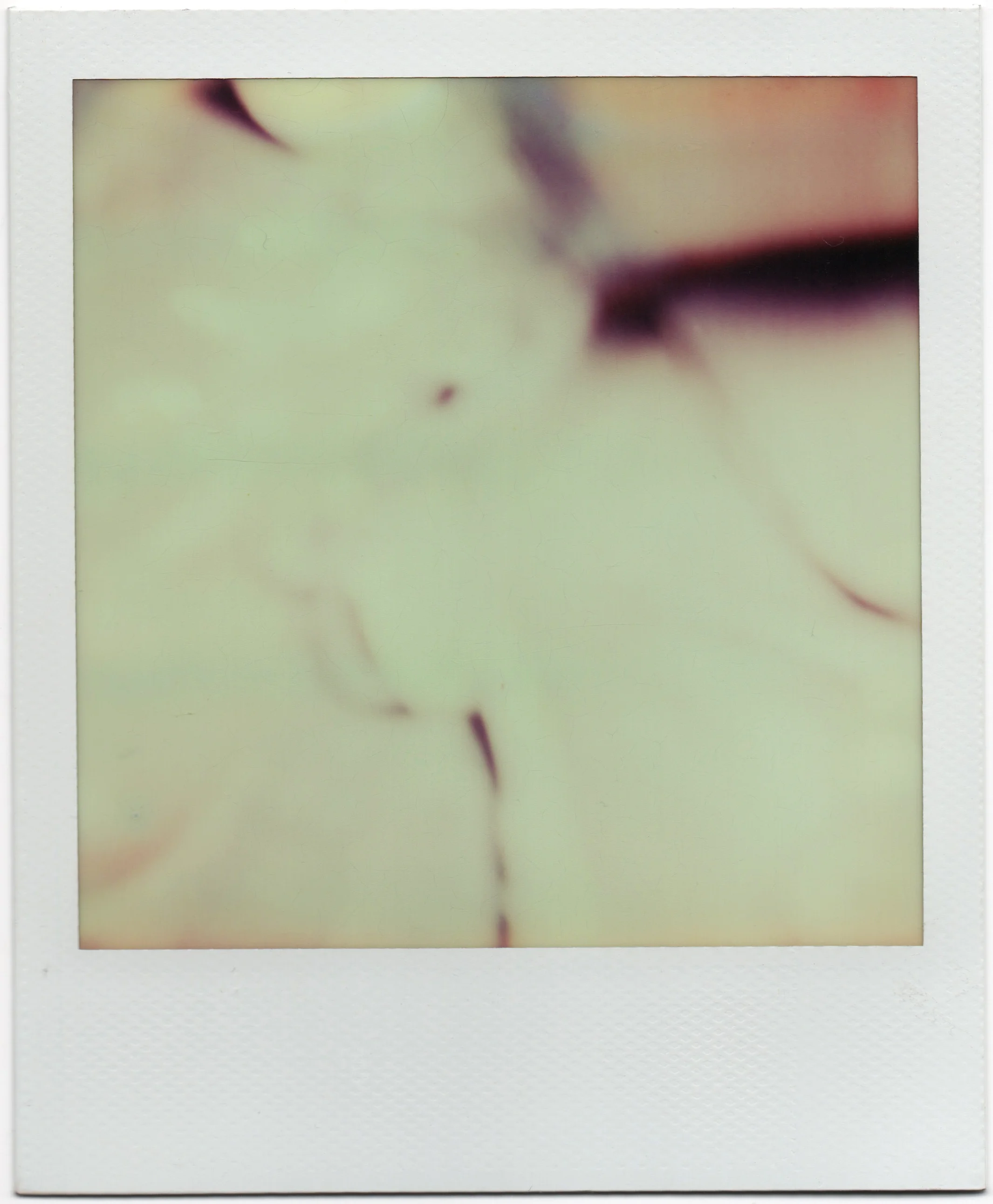 Scan 2.jpeg