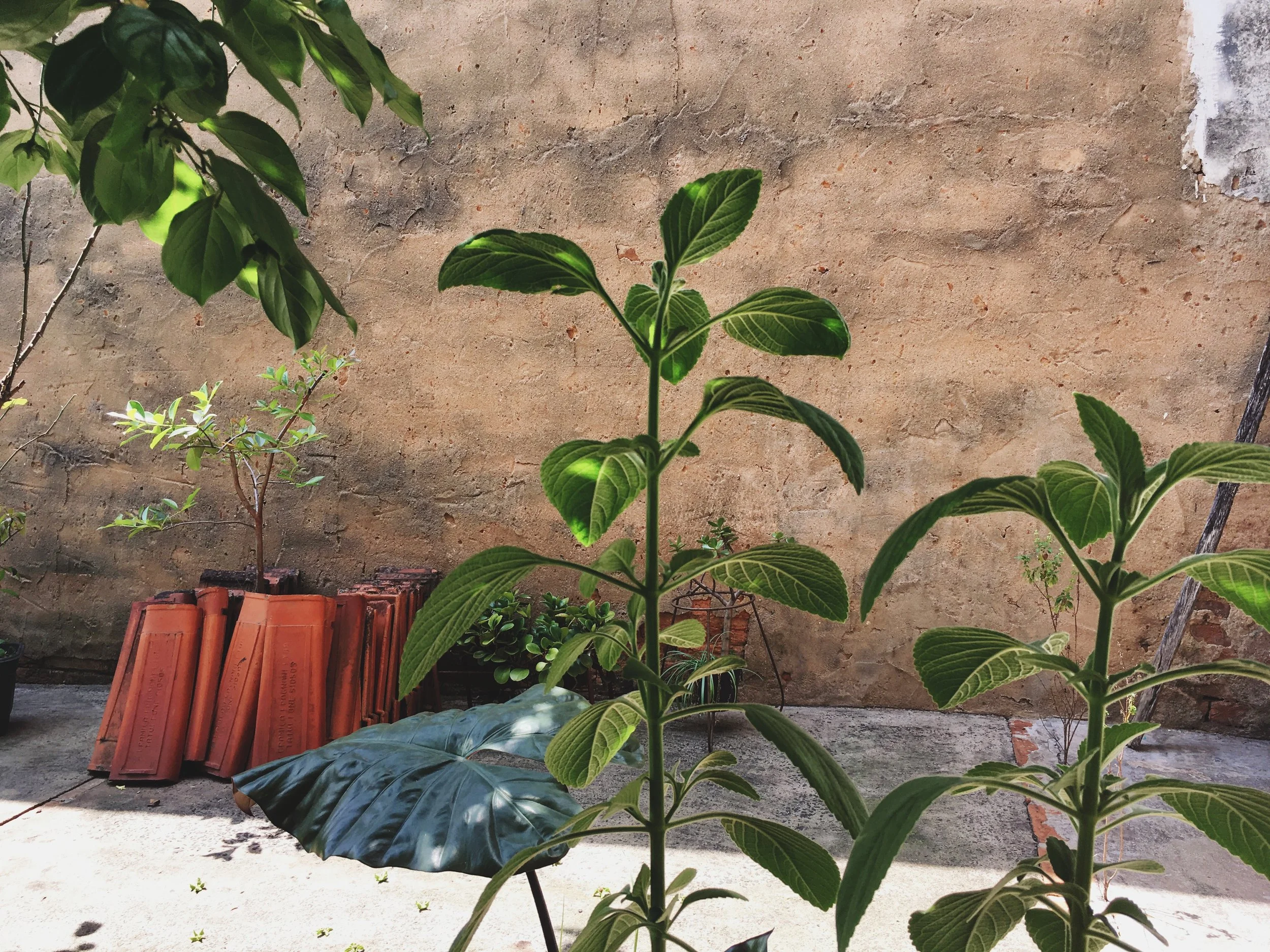 Processed with VSCO with 4 preset Processed with VSCO with 4 preset