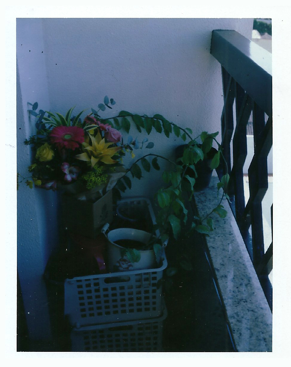 SCAN0012.JPG