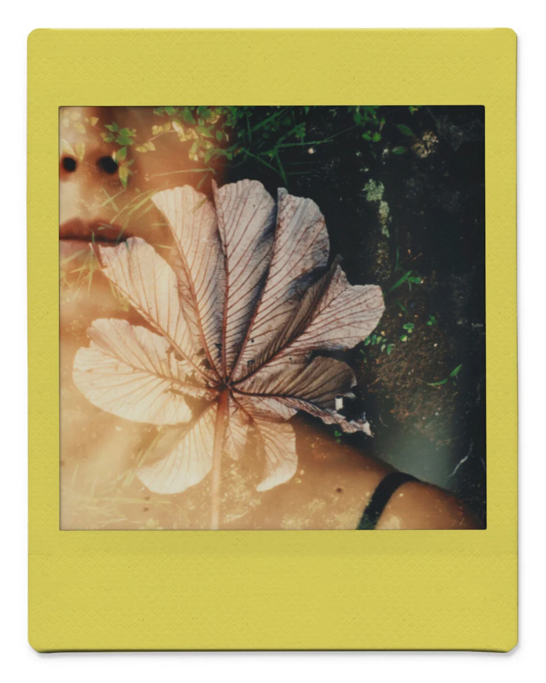 instsqc 2020-11-06 162549.013.JPG