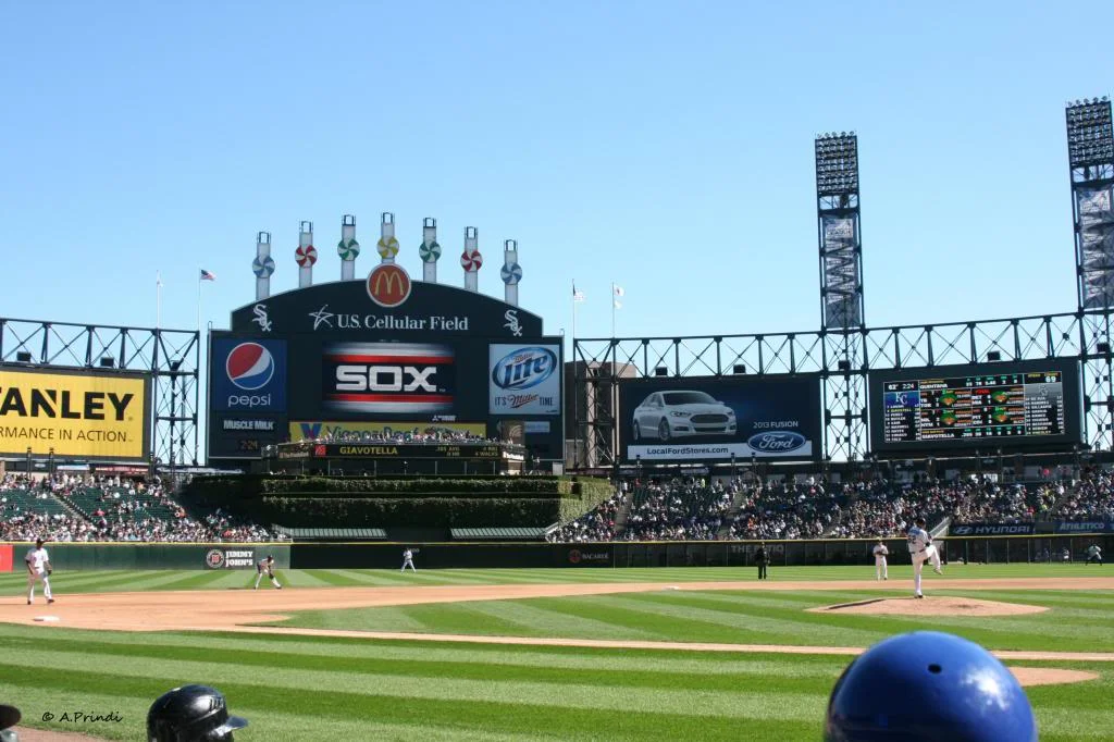 2014 White Sox Expectations