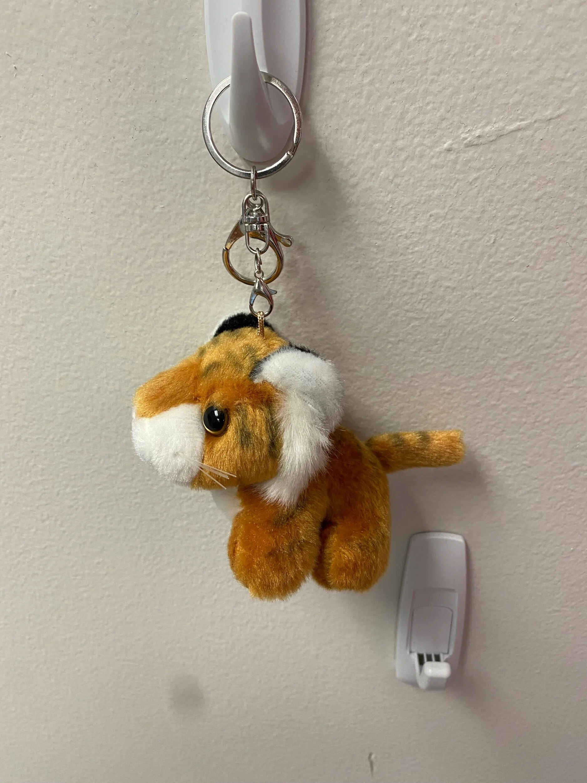 9CFE1C0D-AB7F-4DDC-A4BA-7574B4204C3B