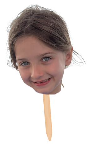 FatHead.png