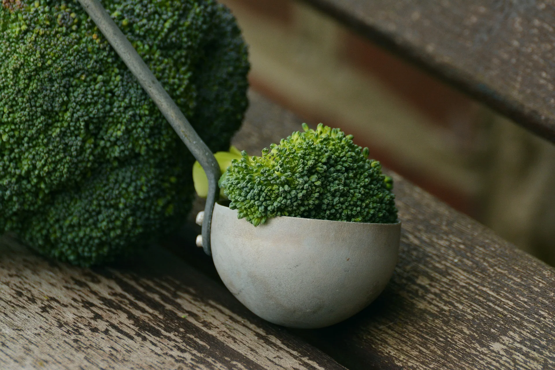 broccoli-1974801_1920.jpg