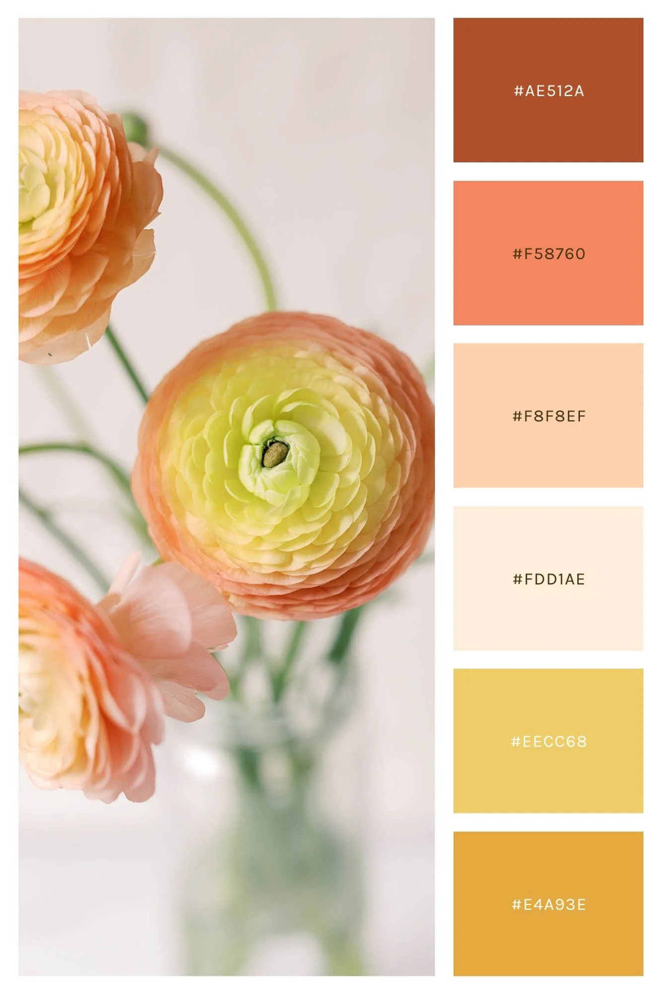 15 Spring Color Palettes for your Brand — Samantha Madeo Branding