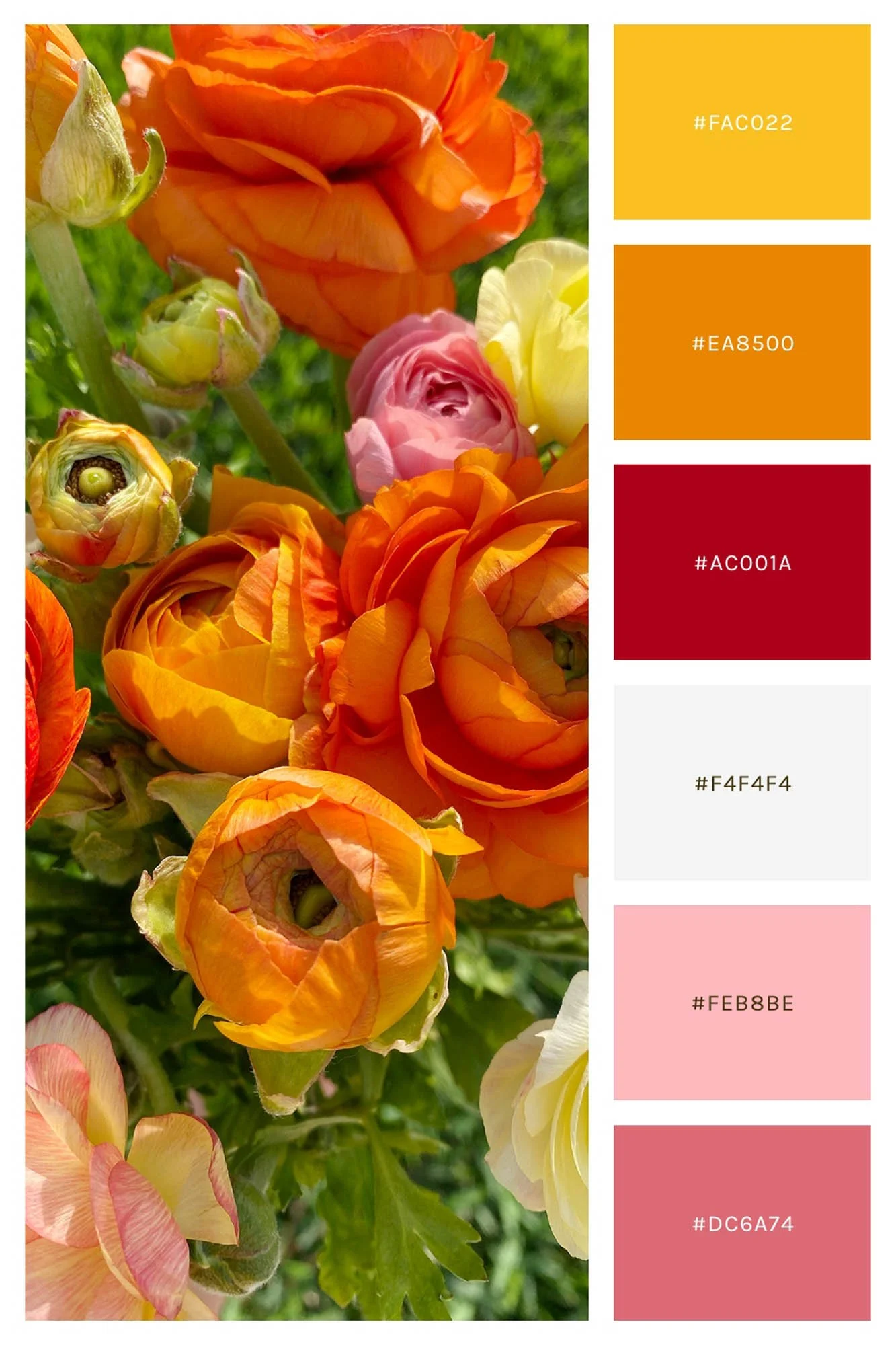 15 Spring Color Palettes for your Brand — Samantha Madeo Branding