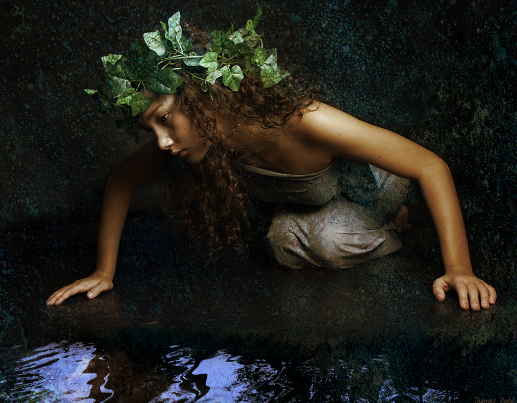 Narcissus Revisited (2016)