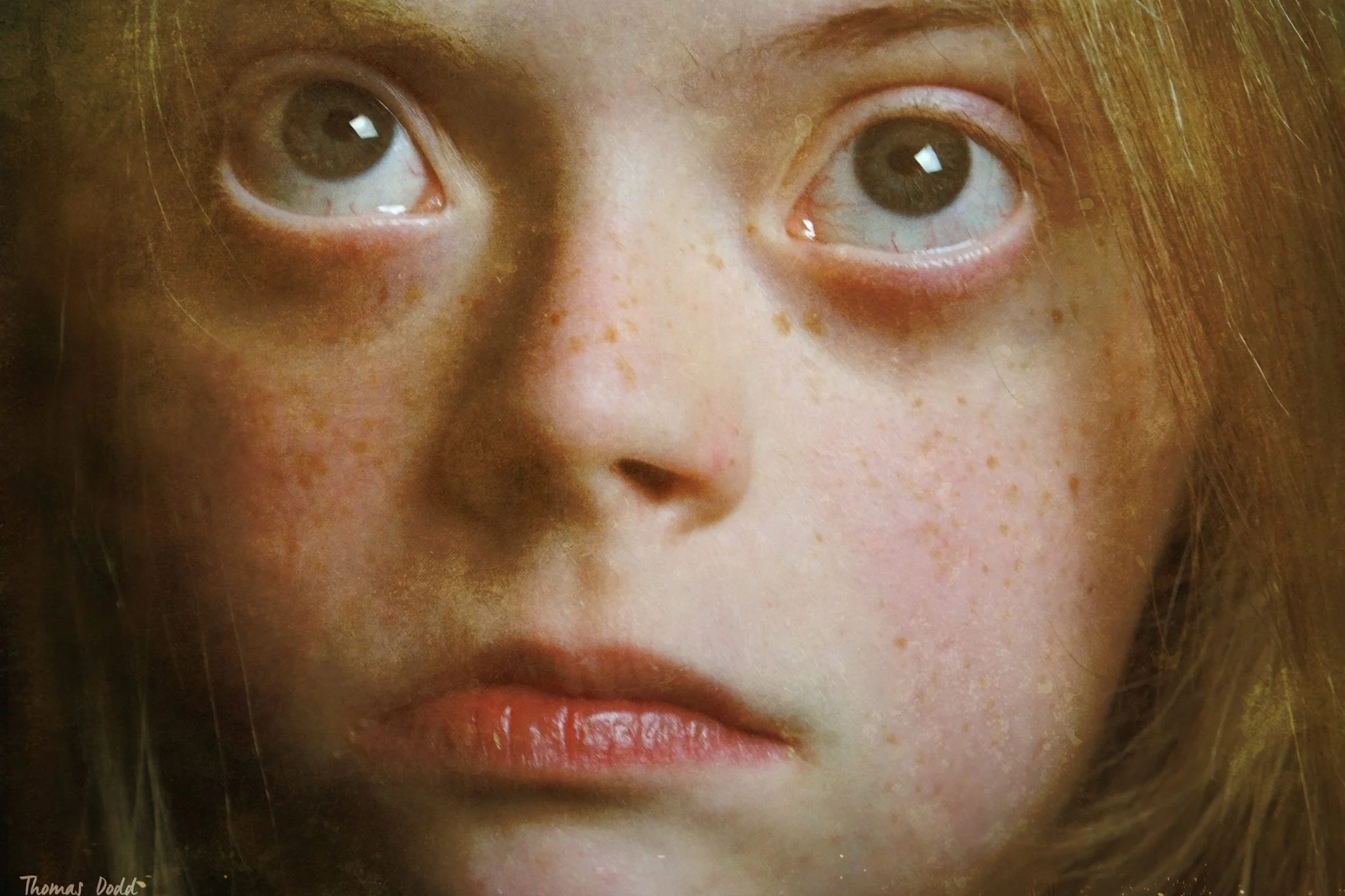 Lily's Eyes