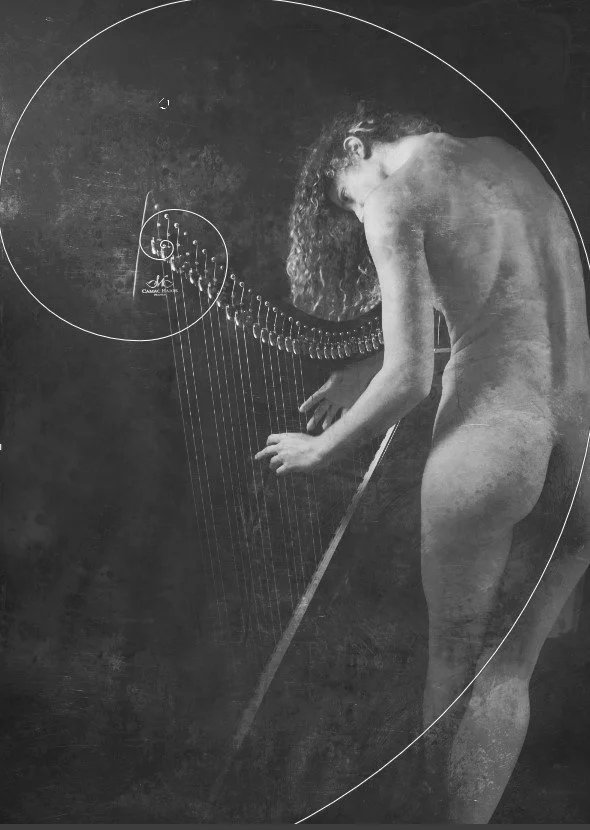 Harmonic Curve (model - Vivian Cove )